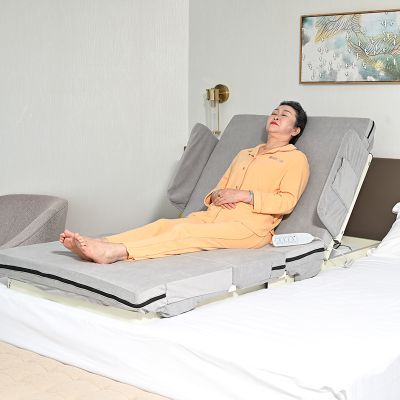 Electric Back and Leg Lifter