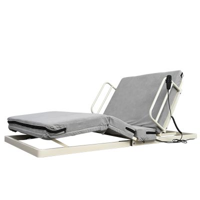 Electric Back and Leg Lifter