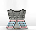 Aerobic Neoprene Dumbbell Case Set 10kg