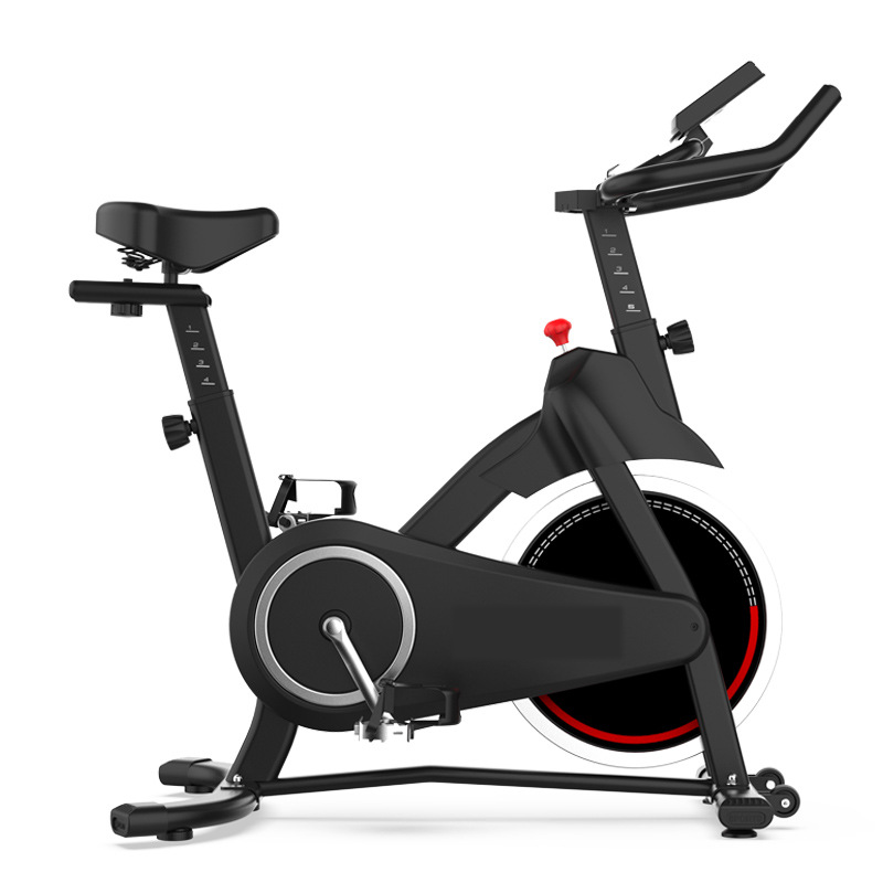 Spinning Bike Flywheel 10kg