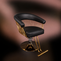 ZIA - Boutique Gold & Black PU Hair Styling Chair