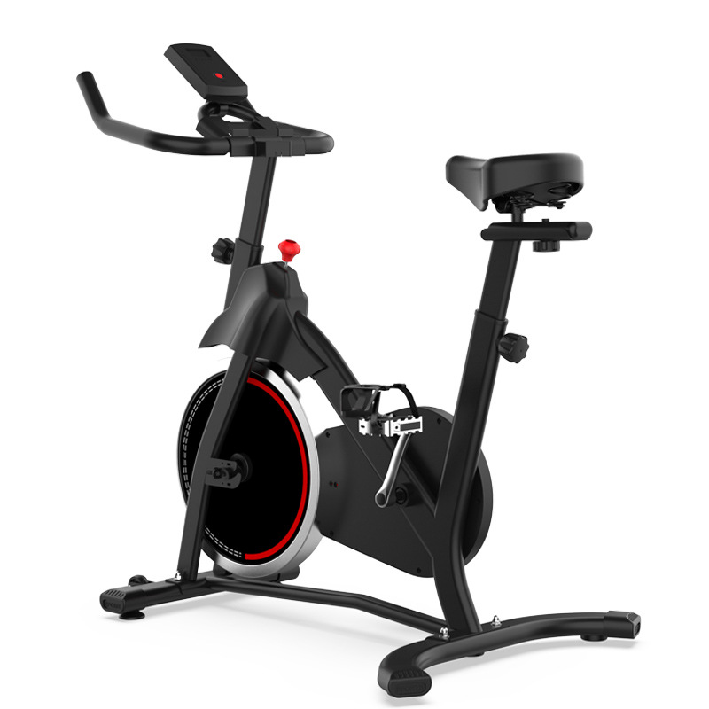 Spinning Bike Flywheel 10kg