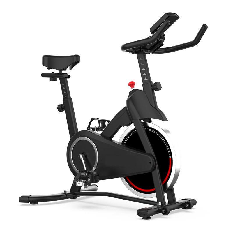 Spinning Bike Flywheel 10kg